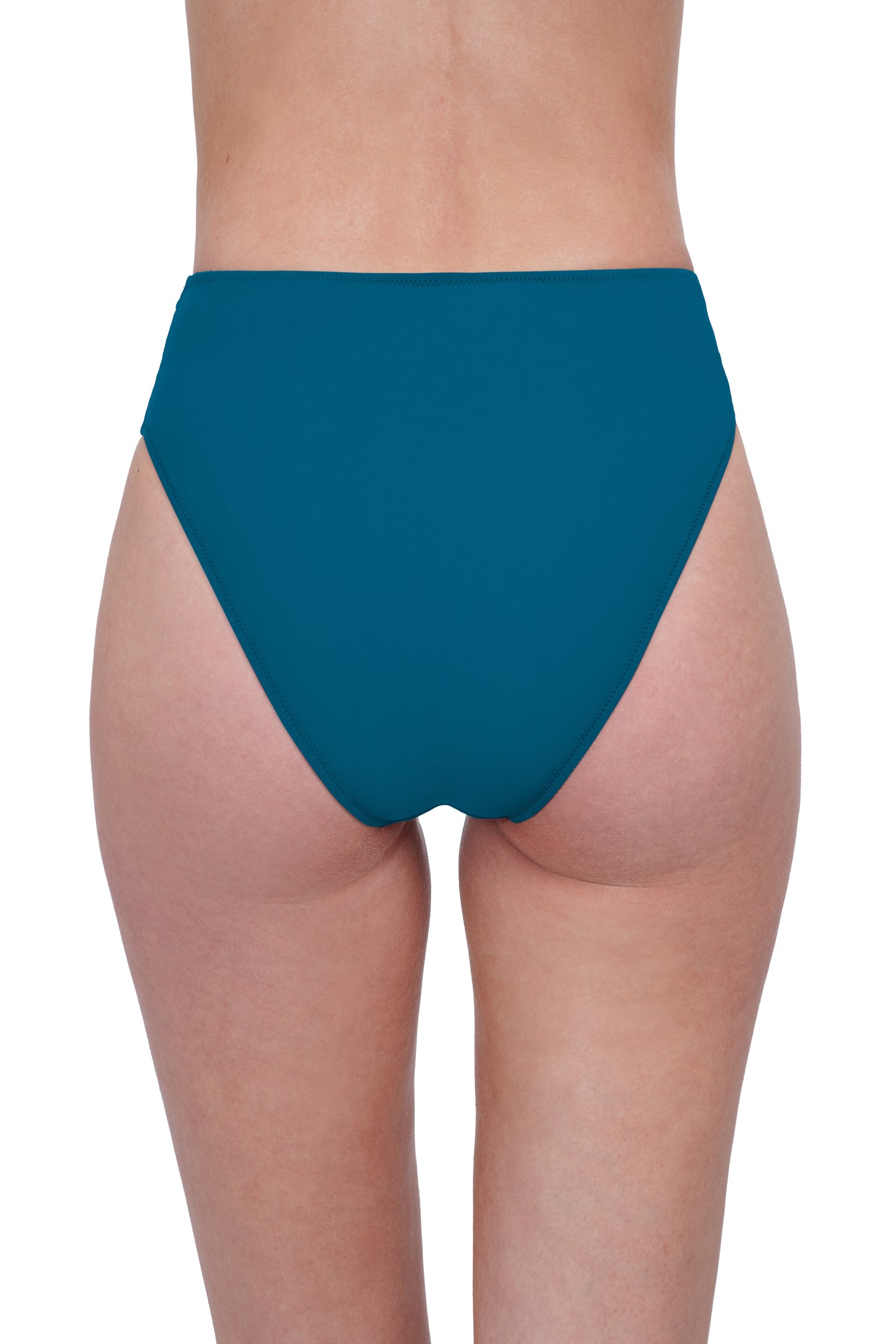 ROSEBUD HIGH LEG HIGH WAIST BRIEF